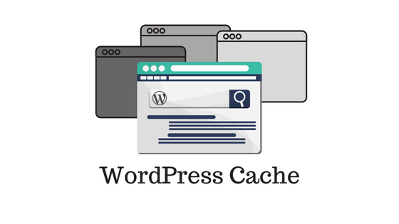 WordPress Cache